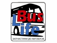Підшипник задньої ступиці Neoplan/SETRA зовнішній