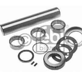 Рем. комплект шкворня SETRA правий